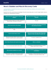 Free Skeleton And Muscles Flashcards | Year 4 | Science | BookFlik