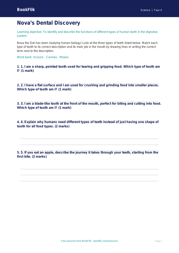 Free Teeth Activity Sheet | Year 4 | Science | BookFlik worksheet preview — Science Teeth