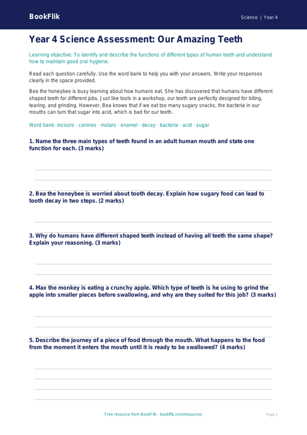 Teeth Assessment Year 4 Free | Science Resource | BookFlik worksheet preview — Science Teeth