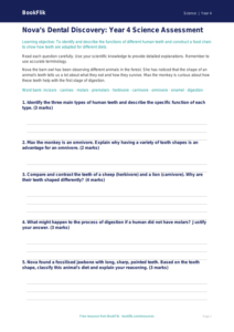 Teeth Assessment Year 4 Science | Greater Depth | BookFlik