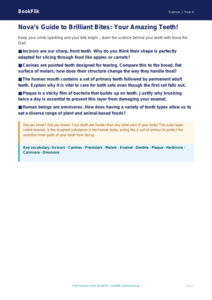Free Teeth Poster | Year 4 | Science | BookFlik