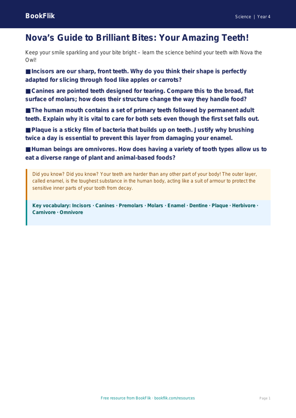Free Teeth Poster | Year 4 | Science | BookFlik worksheet preview — Science Teeth