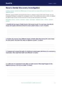 Free Teeth Template | Year 4 Science | Australian Curriculum