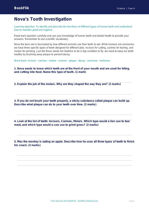 Free Teeth Worksheet | Year 4 | Science | BookFlik worksheet preview — Science Teeth