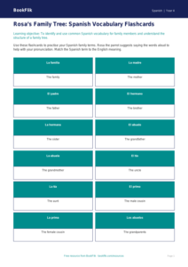 Family Members in Spanish: Year 4 Flashcards | BookFlik Australia