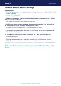 Year 3 D Track Sheet | Free English Worksheet | BookFlik