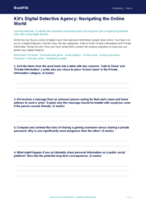 Free E-Safety Activity Sheet | Class 4 | Computing | BookFlik
