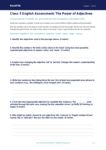 Free Adjectives Assessment | Class 5 | English | BookFlik