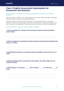 Free Apostrophes Assessment | Class 3 | English | BookFlik