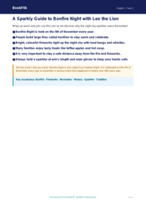 Bonfire Night Poster Activity for Class 1 | English | BookFlik