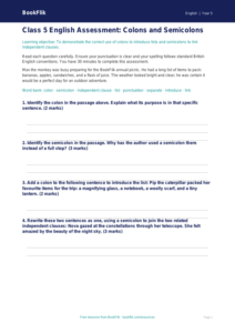 Free Colons And Semicolons Assessment | Class 5 | English | BookFlik