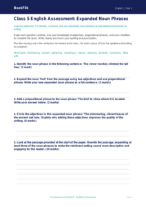 Expanded Noun Phrases Assessment | Class 5 English | CBSE Worksheet
