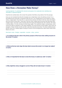 Free Explanation Texts Comprehension | Class 5 | English | BookFlik