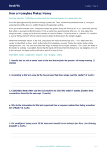 Free Explanation Texts Track Sheet | Class 5 | English | BookFlik