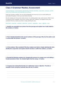 Free Grammar Assessment | Class 4 | English | BookFlik