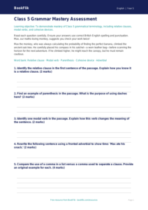Advanced Grammar Assessment for Class 5 | CBSE English | BookFlik