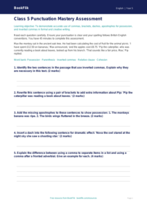 Free Punctuation Assessment | Class 5 | English | BookFlik