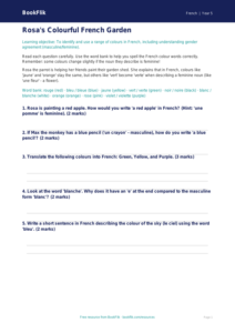 Colours in French Worksheet for Class 5 | CBSE French Resources