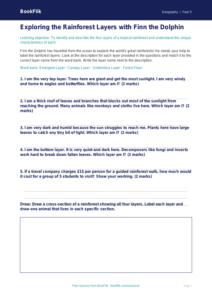 Free Rainforests Activity Sheet | Class 5 | Geography | BookFlik