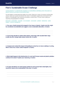 Free Sustainability Activity Sheet | Class 4 | Geography | BookFlik