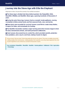 Free Stone Age Poster | Class 4 | Social Studies / History | BookFlik