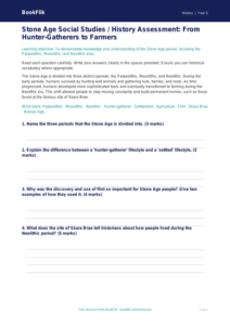 Free Stone Age Assessment | Class 5 | Social Studies / History | BookFlik
