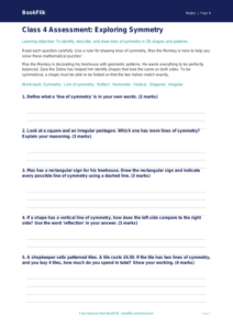 Free Symmetry Assessment | Class 4 | Maths | BookFlik