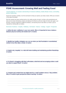 Wellbeing Assessment Class 4 Free | CBSE Life Skills Worksheet
