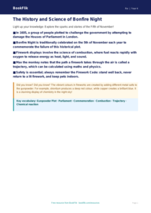 Bonfire Night Safety & Traditions | Class 4 EVS Worksheet | BookFlik