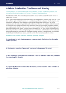 Free Christmas Comprehension | Class 4 | EVS / Moral Education | BookFlik