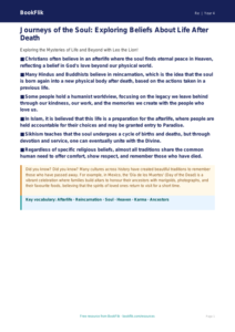 Understanding Life Cycles: EVS Class 4 Resource | BookFlik