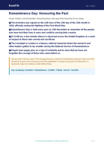Remembrance Day Poster Activity for Class 5 | EVS & Moral Education