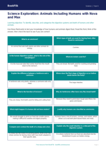 Free Animals Including Humans Flashcards | Class 4 | Science | BookFlik