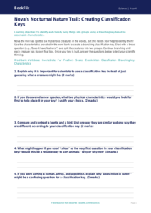 Free Classification Keys Activity Sheet | Class 4 | Science | BookFlik
