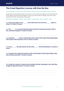 Free Digestion Activity Sheet | Class 4 | Science | BookFlik