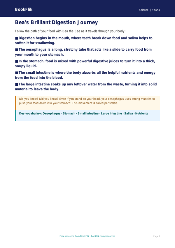 Science digestion poster class 4 core worksheet preview — Science Digestion