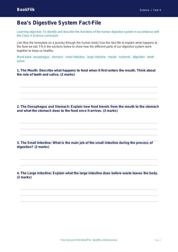 Digestion Template for Class 4 Science | CBSE Learning | BookFlik worksheet preview — Science Digestion