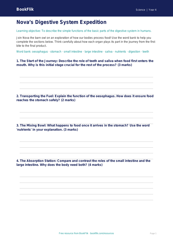 Free Digestion Template | Class 4 | Science | BookFlik worksheet preview — Science Digestion