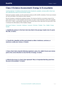 Free Food Chains Assessment | Class 4 | Science | BookFlik
