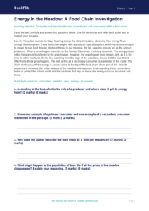 Science food chains comprehension class 4 greater depth