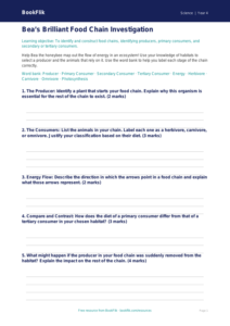Free Food Chains Template | Class 4 | Science | BookFlik