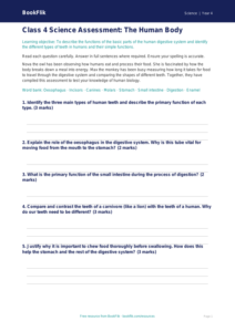 Human Body Assessment for Class 4 | CBSE Science Worksheet | BookFlik