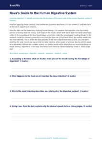 Human Body Comprehension for Class 4 | CBSE Science Worksheet