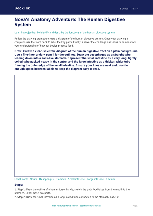 Free Human Body Drawing Sheet | Class 4 | Science | BookFlik worksheet preview — Science Human Body