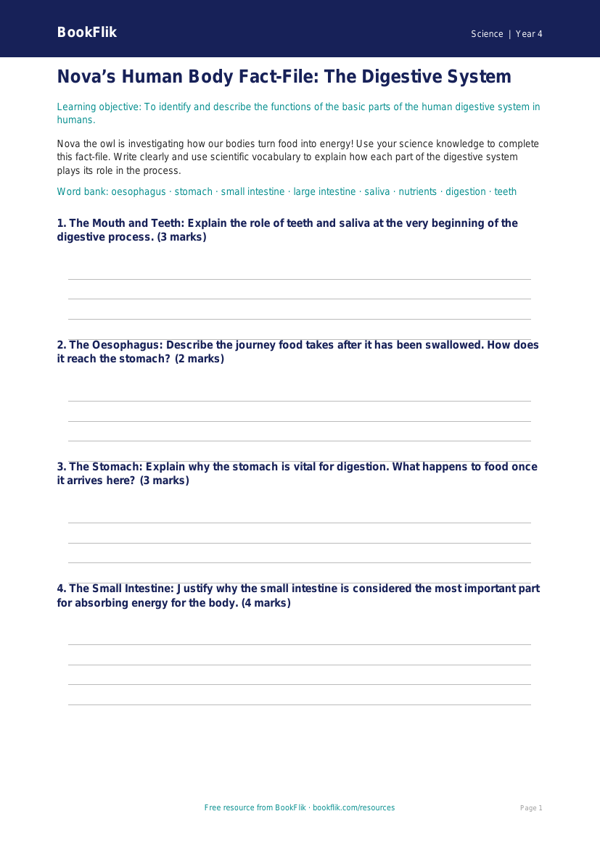 Human Body Systems Worksheet | Class 4 Science | BookFlik worksheet preview — Science Human Body