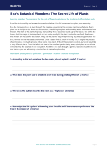Plants Comprehension Worksheet for Class 4 | Science | BookFlik