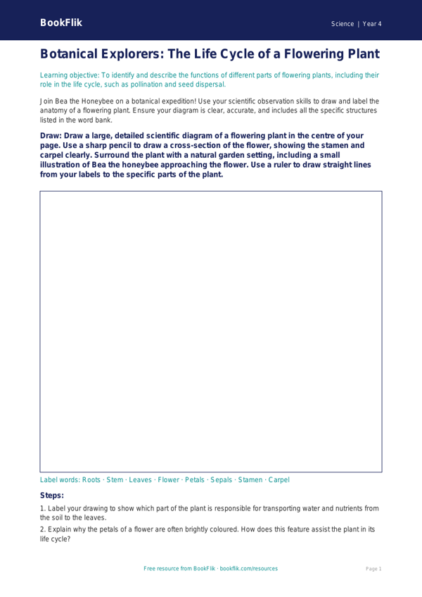 Science plants drawing sheet class 4 greater depth worksheet preview — Science Plants
