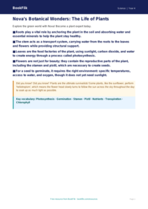 Free Plants Poster | Class 4 | Science | BookFlik