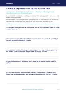 Free Plants Worksheet | Class 4 | Science | BookFlik