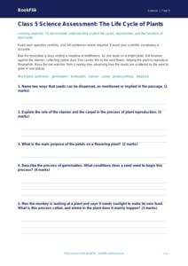 Free Plants Assessment | Class 5 | Science | BookFlik